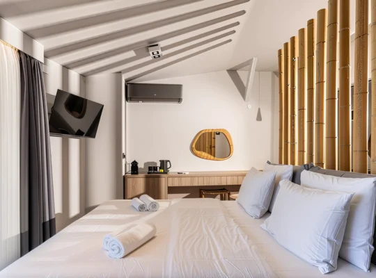 Superior Suite 3